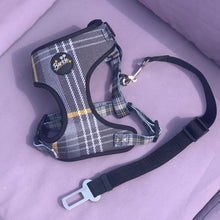 Load image into Gallery viewer, Seat Belt Clip