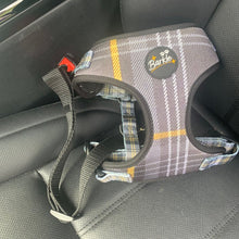 Load image into Gallery viewer, Seat Belt Clip