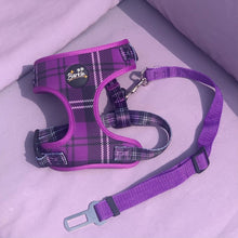 Load image into Gallery viewer, Seat Belt Clip