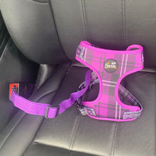 Load image into Gallery viewer, Seat Belt Clip