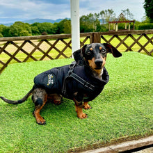Load image into Gallery viewer, BLACK DOG COAT WITH HARNESS
