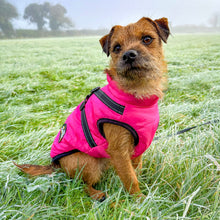 Load image into Gallery viewer, HOT PINK DOG COAT WITH HARNESS
