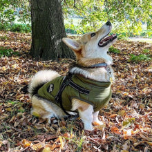 Load image into Gallery viewer, GREEN DOG COAT WITH HARNESS
