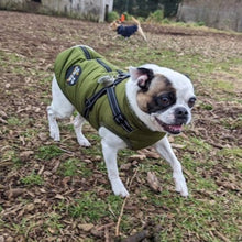 Load image into Gallery viewer, GREEN DOG COAT WITH HARNESS
