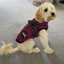 Load image into Gallery viewer, PURPLE DOG COAT WITH HARNESS
