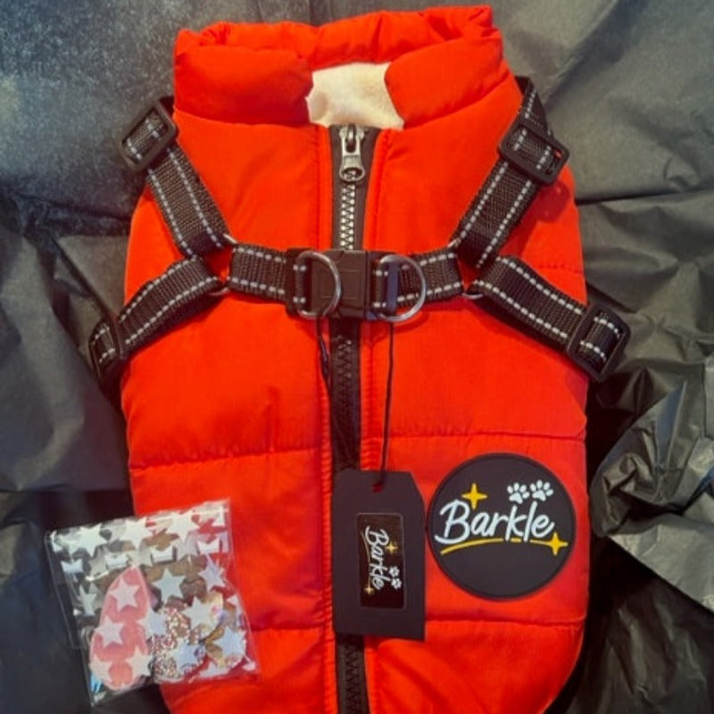 RED DOG COAT WITH HARNESS
