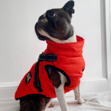 Load image into Gallery viewer, RED DOG COAT WITH HARNESS
