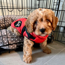 Load image into Gallery viewer, RED DOG COAT WITH HARNESS
