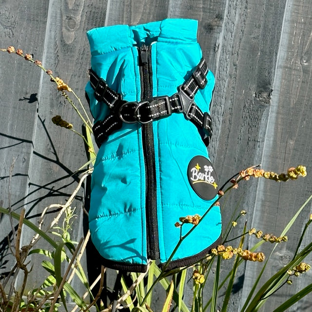 TURQUOISE DOG COAT WITH HARNESS