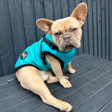 Load image into Gallery viewer, TURQUOISE DOG COAT WITH HARNESS
