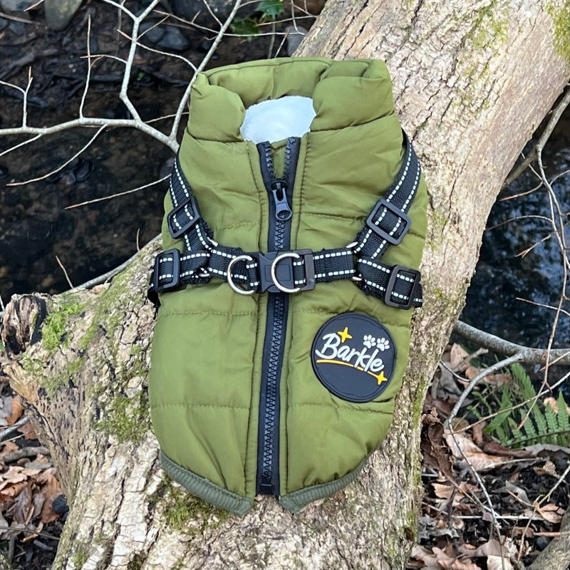 GREEN DOG COAT WITH HARNESS