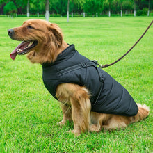Load image into Gallery viewer, BLACK DOG COAT WITH HARNESS
