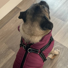 Load image into Gallery viewer, PURPLE DOG COAT WITH HARNESS
