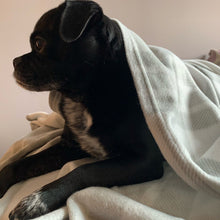 Load image into Gallery viewer, Light Grey Tartan Barkle Dog Blanket
