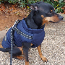 Load image into Gallery viewer, BLUE DOG COAT WITH HARNESS
